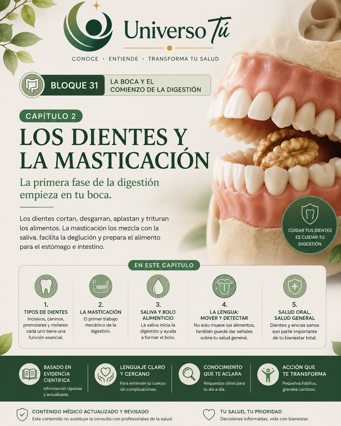 Portada del capítulo 2, Los dientes y la masticación, del bloque 31 de Universo Tú sobre la boca y el comienzo de la digestión