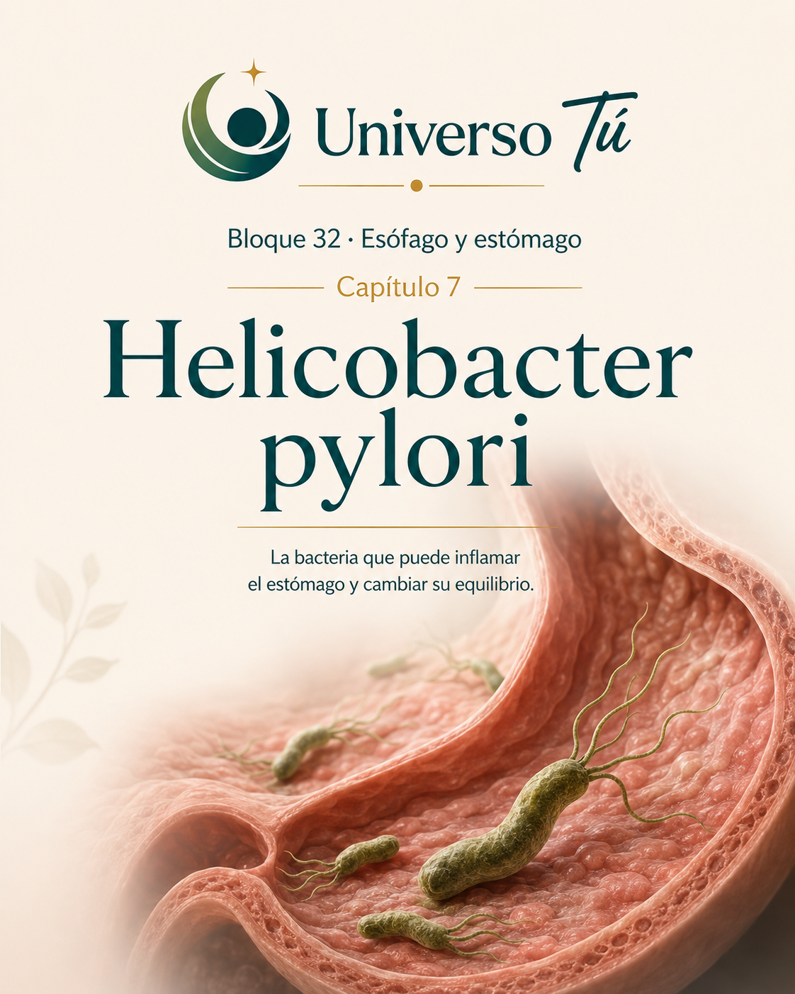 Portada del capítulo 7, Helicobacter pylori, del bloque 32 de Universo Tú sobre esófago y estómago