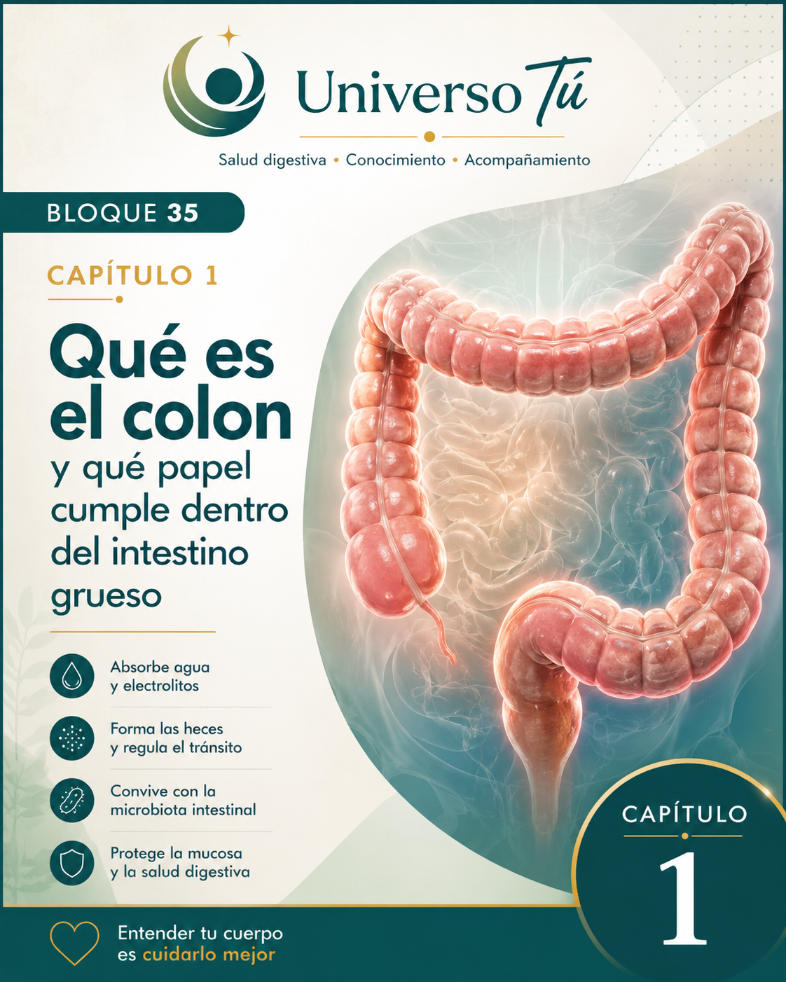 Portada del capítulo 1, Qué es el colon y qué papel cumple dentro del intestino grueso, del bloque 35 de Universo Tú sobre el colon