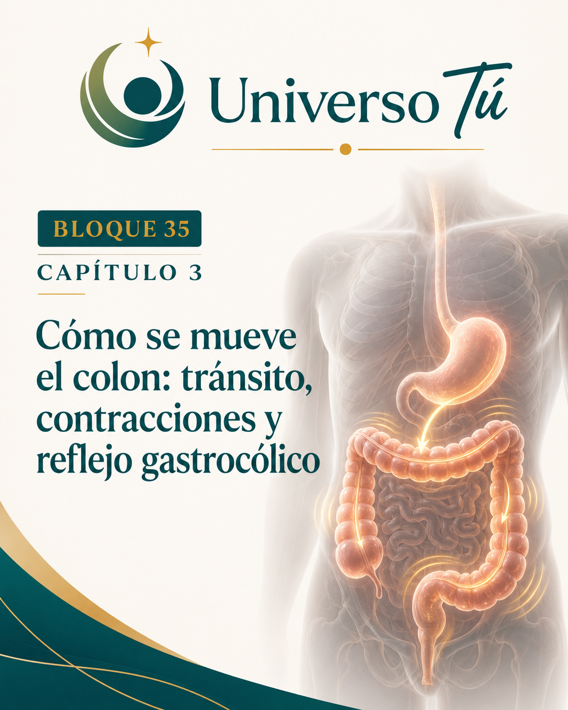 Portada del capítulo 3, Cómo se mueve el colon: tránsito, contracciones y reflejo gastrocólico, del bloque 35 de Universo Tú sobre el colon