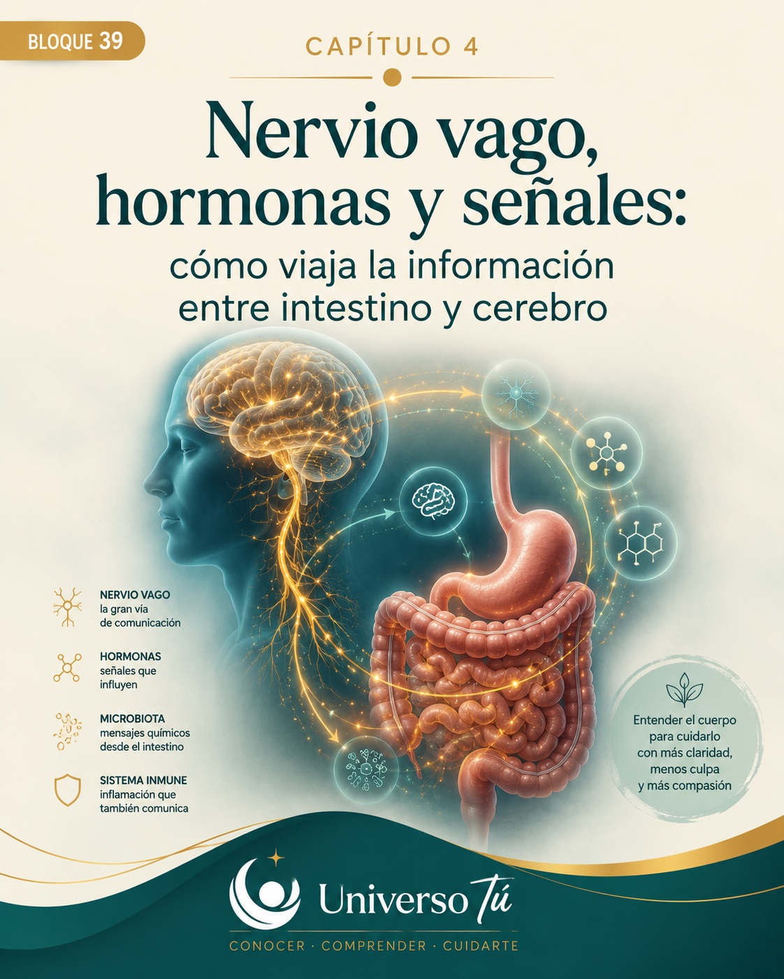 Portada del capítulo 4, Nervio vago, hormonas y señales: cómo viaja la información entre intestino y cerebro, del bloque 39 de Universo Tú sobre el eje intestino-cerebro