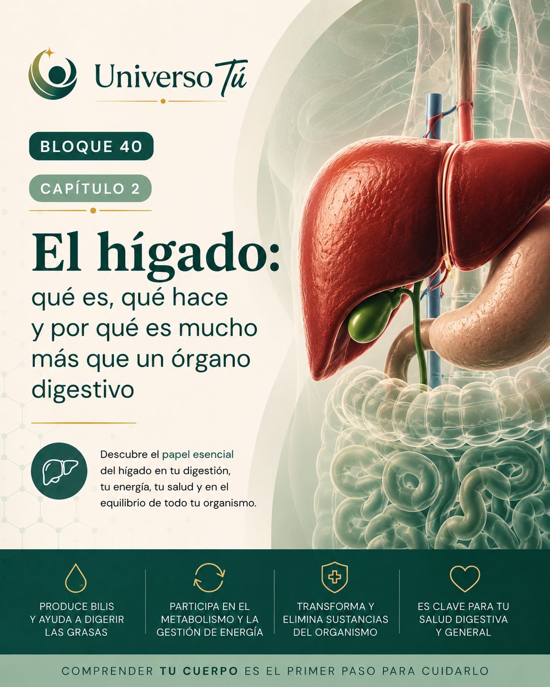 Portada del capítulo 2, El hígado: qué es, qué hace y por qué es mucho más que un órgano digestivo, del bloque 40 de Universo Tú sobre hígado, vesícula y páncreas