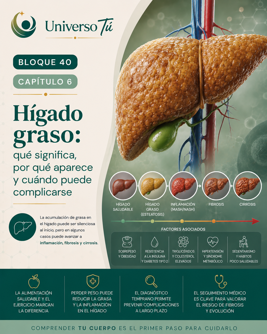 Portada del capítulo 6, Hígado graso: qué significa, por qué aparece y cuándo puede complicarse, del bloque 40 de Universo Tú sobre hígado, vesícula y páncreas
