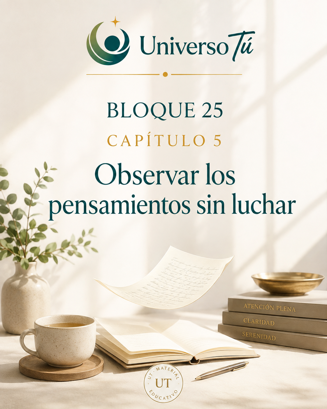 Portada del capítulo Observar los pensamientos sin luchar