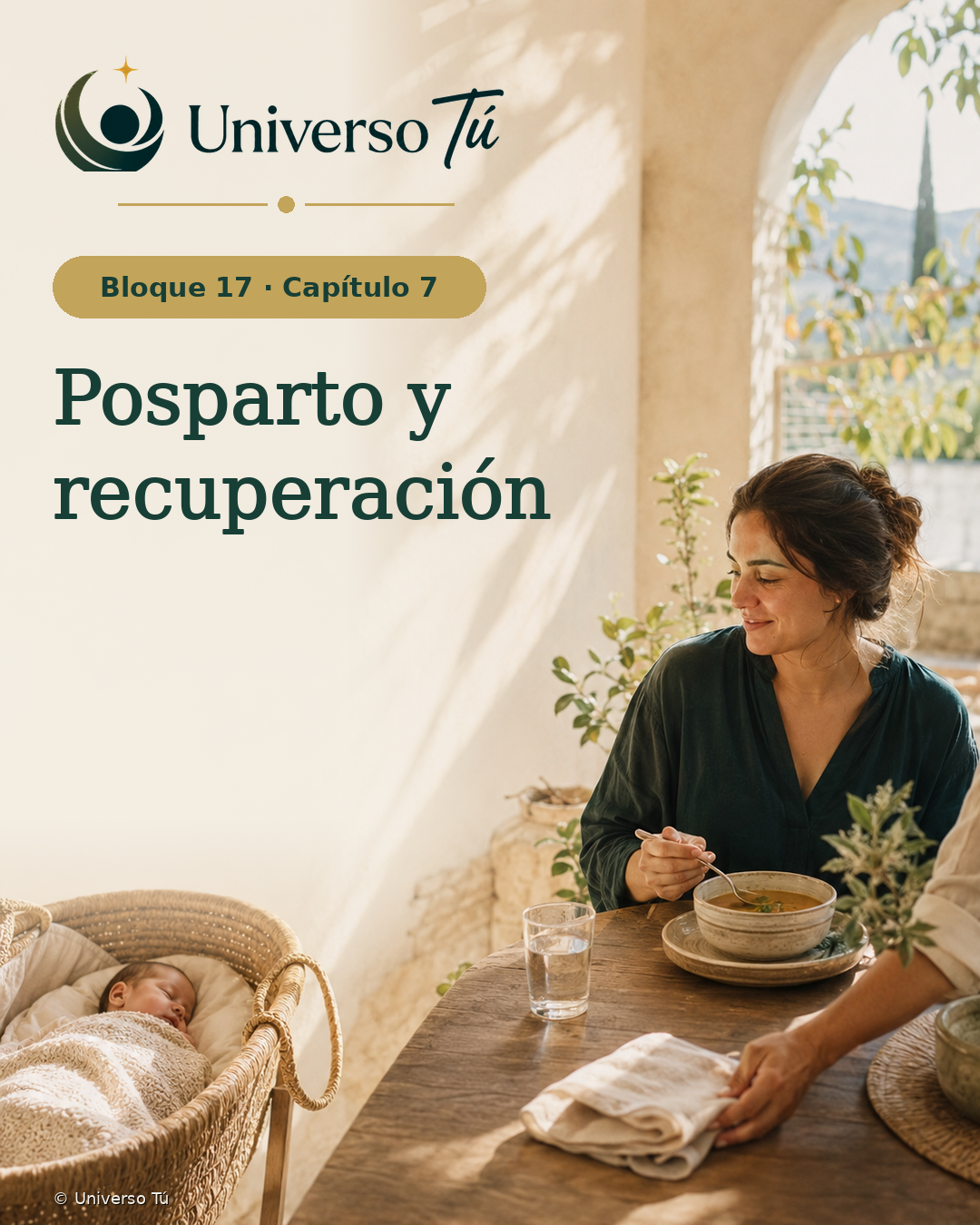 Portada del Bloque 17, Capítulo 07: Posparto y recuperación — Universo Tú
