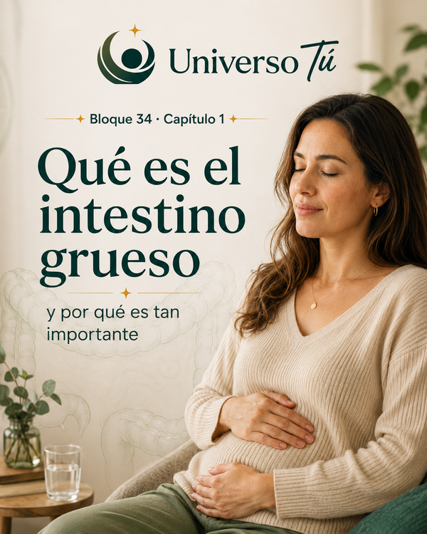 Qué es el intestino grueso y por qué es tan importante